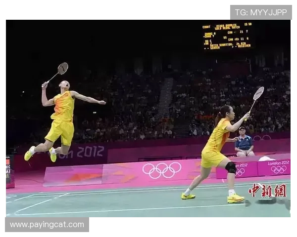 南京羽毛球队阵地战打法深度解析与战术优势剖析