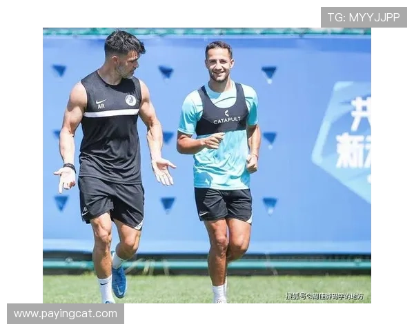 成都篮球队战术创新引领潮流助力球队实现新高峰