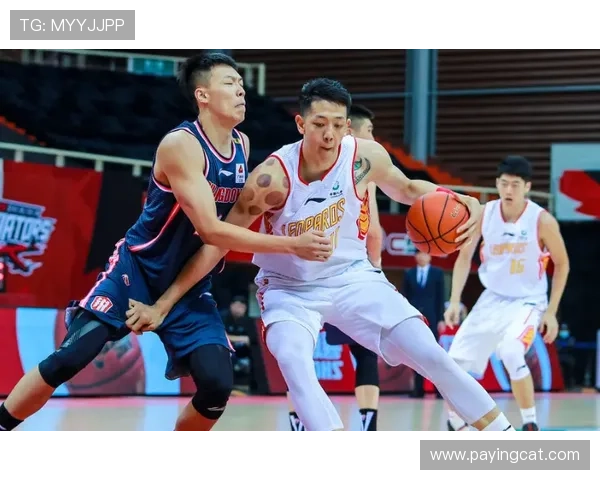 深圳乒乓球队在杯赛中的节奏掌控与表现分析